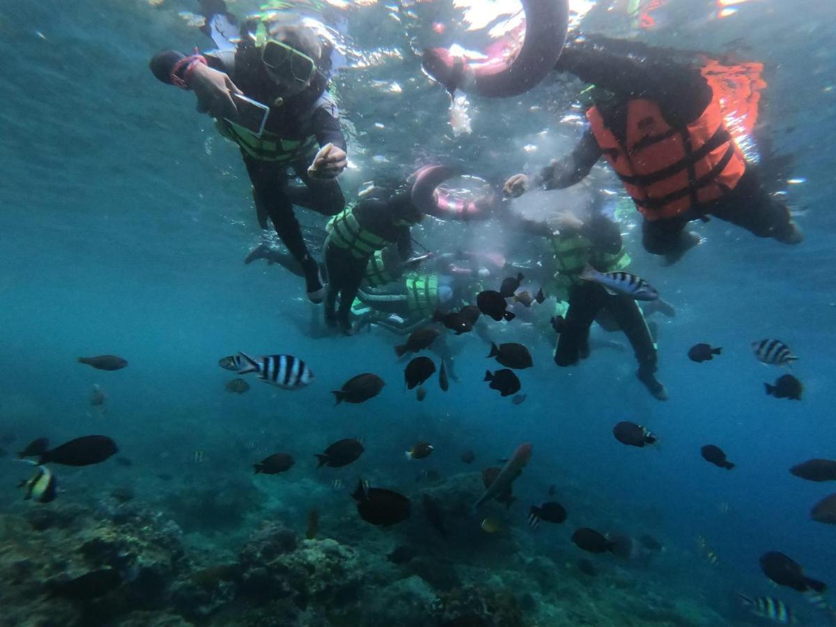 דירות גרין איילנד 20Ft Sea Attic מראה חיצוני תמונה